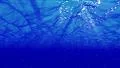 Underwater Bubbles 40 seconds LM21 Loop Sunlight 4k or 4k+ Resolution