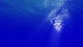 Underwater Bubbles 40 seconds LM23 Loop Sunlight 4k or 4k+ Resolution