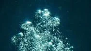 Underwater Bubbles 96Fps Slow Motion Tropical Fishes Stock Footage