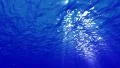 Underwater Bubbles Big 40 seconds LM03 Loop Sunlight HD Footage