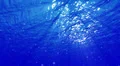 Underwater Bubbles Big 40 seconds LM06 Loop Sunlight 4k or 4k+ Resolution