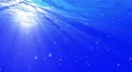 Underwater Bubbles Big 40 seconds LM11 Loop Sunlight 4k or 4k+ Resolution
