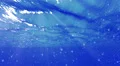 Underwater Bubbles Big 40 seconds LM16 Loop Sunlight 4k or 4k+ Resolution