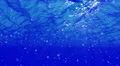 Underwater Bubbles Big 40 seconds LM18 Loop Sunlight 4k or 4k+ Resolution