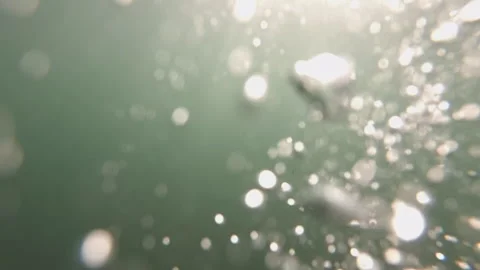Underwater bubbles creating an abstract pattern in murky green water, with Stock Footage 343076446