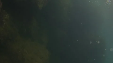 Underwater bubbles creating a motion effect in deep dark water with soft bokeh Stock Footage 343330783