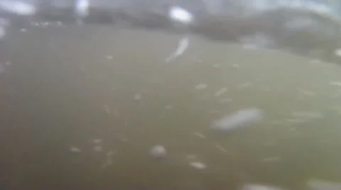 Underwater bubbles Video stock 61128253