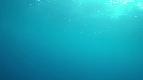 Underwater bubbles Видео 75248583