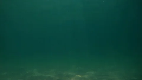 Underwater Bubbles Stock Footage 106487481