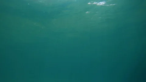 Underwater Bubbles Stock Footage 106487544