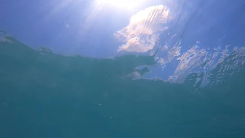 Underwater Bubbles Stock Footage 106487611