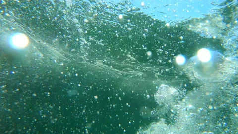 Underwater Bubbles Stock Footage 202080384