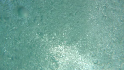 Underwater Bubbles Stock Footage 202082810