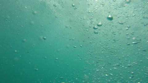 Underwater Bubbles Stock Footage 202084252