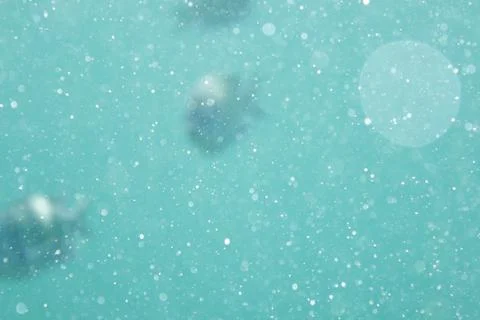 Underwater bubbles Stock Photos