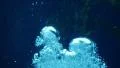 Underwater Bubbles Rising 01 Slow Motion 96fps HD Footage
