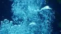 Underwater Bubbles Rising 02 Slow Motion 96fps HD Footage