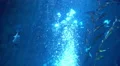 Underwater Bubbles Rising 04 4K 4k or 4k+ Resolution
