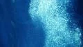 Underwater Bubbles Rising 07 Slow Motion 96fps HD Footage