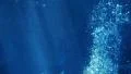 Underwater Bubbles Rising 08 Slow Motion 96fps HD Footage