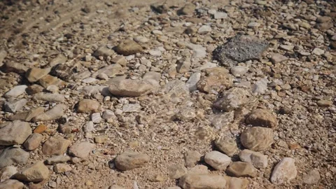 Underwater bubbles, volcanic gases from the sandy bottom. Streams of oxygen Stock Footage 181646870