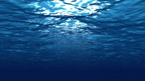 Underwater C Vidéo 277309