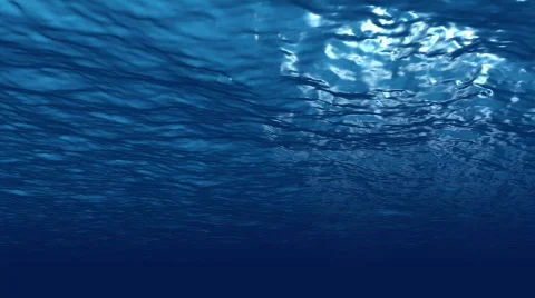 Underwater C1 Stock Footage