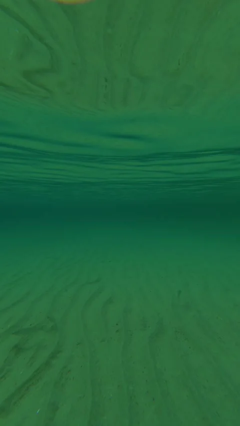 Underwater calmness with gentle waves and sandy floor. Trani Ammouda, Vertical Stock Footage 340650480