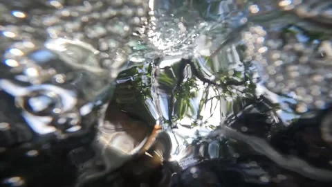 Underwater camera Stock Footage 272711082