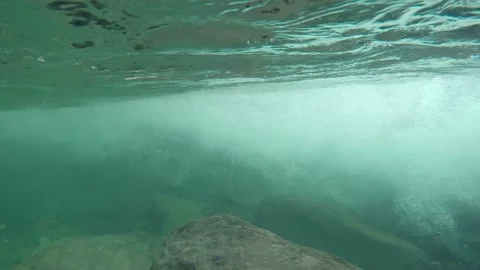 Underwater camera moves from forest cover into a fast foaming mountain river Stock Footage 339589391