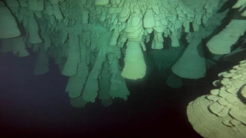 Underwater camera passes through dense hanging bell formations Stock Footage 341394847