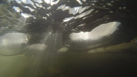 Underwater Camera Reflecting Light Off Water and Ice HD Video Stock Footage 89811662
