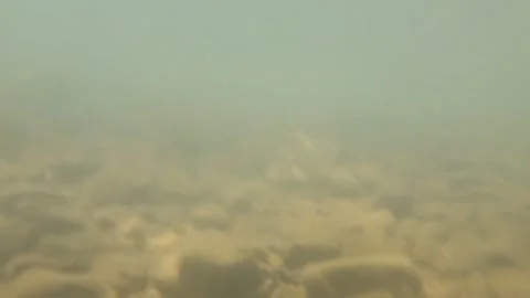 Underwater camera shot sea bottom pebbles 動画素材 340457504