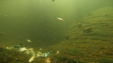 Underwater cameras. Stock Footage 272710300