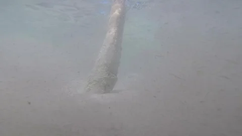 Underwater in Caribbean Ocean Stock Footage 100132003