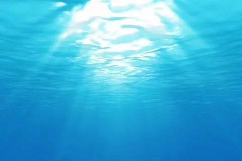 Underwater Carribean Stock Footage 335547