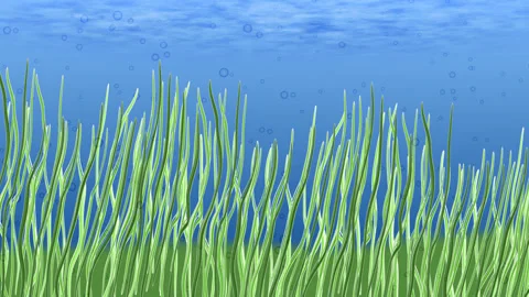 Cartoon Underwater Stock Video Footage | Royalty Free Cartoon Underwater  Videos | Pond5