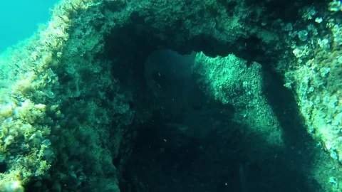 Underwater cave Stock Footage 84236570