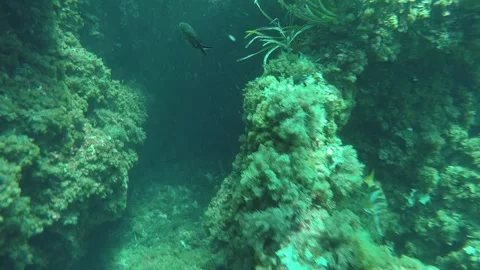 Underwater Cave Stock Footage 130645699