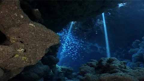 Underwater Cave, Sun Rays, Tropical Waters Stock Footage 301060305
