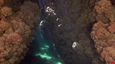 Underwater cave with sunlight Stock Footage