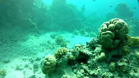 Underwater caves Stock Footage 58311758