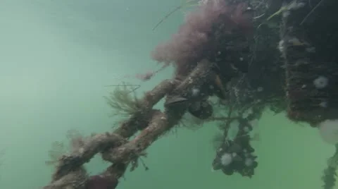 Underwater Chain | 2.5k Resolution Stock Footage 20536568