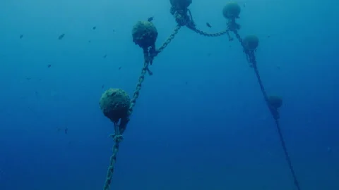 Underwater chains with buoys Stock Footage 263115178