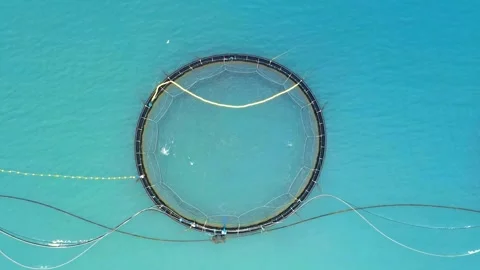 Underwater Circular Frame with Attached Lines and Bubbles Video stock 308341391