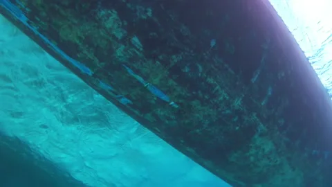 An underwater close-up of nice barracuda fish beneath boat. Stock Footage 235779374
