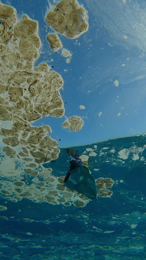 Underwater close up view of fatty stain along with plastic is moving along Stock Footage 345680870