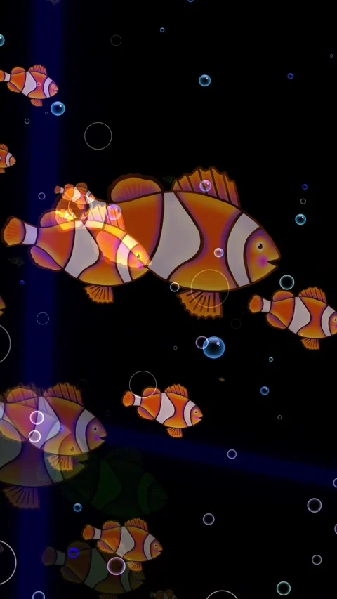 Underwater Clownfish Stock Footage 286131876