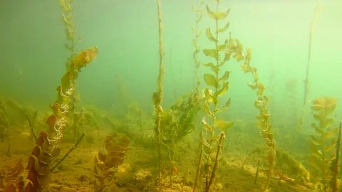Underwater Cooling Pond Environment Overview; Artificial Lake Video stock 103812820