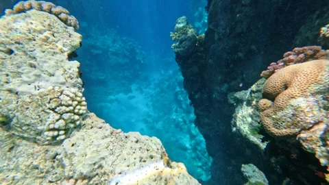 Underwater coral reef canyon with deep blue water and rocky walls 스톡 동영상 324554792